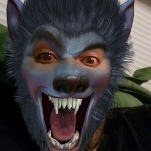 Meet your Posher, Primitivo